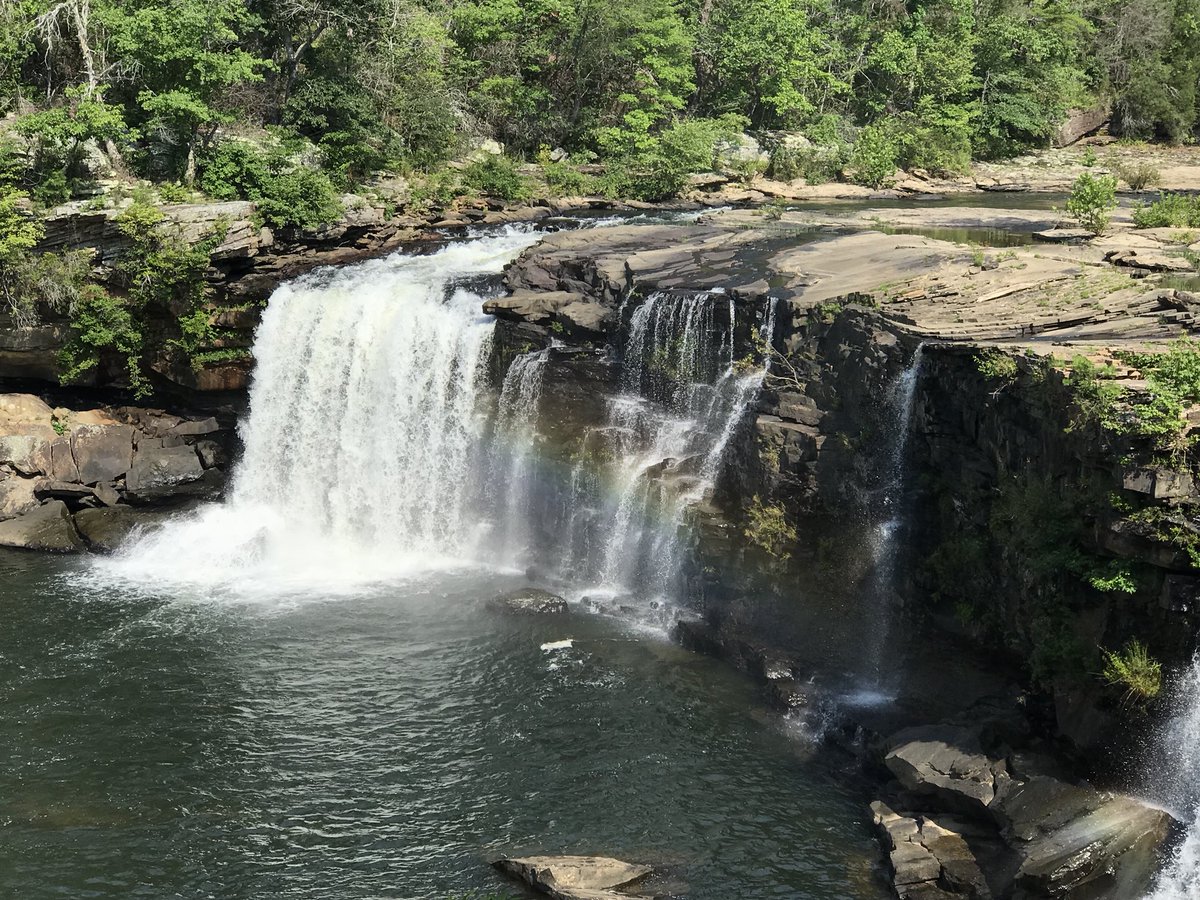 jsuinservice's tweet photo. Our 2nd annual “K-2 Teacher Math Retreat” is now underway at JSU’s Little River Canyon Center! #MathAtTheCanyon #jsuinservice #LittleRiverCanyon @CynthiaSMcCarty @AlabamaDeptofEd https://t.co/BLhvO1BvBd