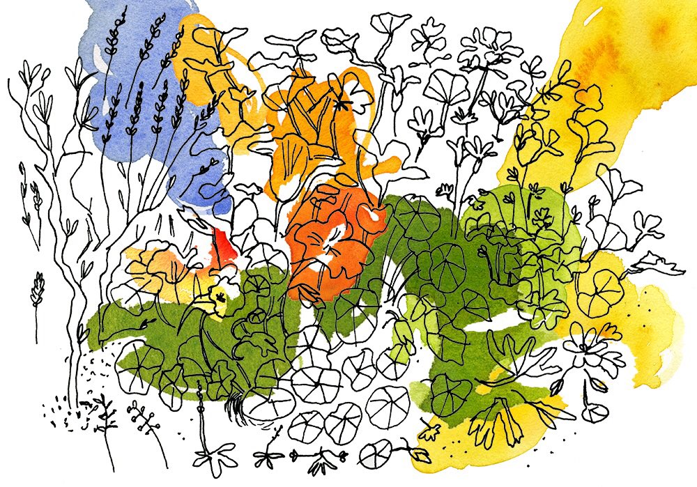 masillustra's tweet photo. Summer mood. #masillustra #drawing #illustration #watercolor #watercolour #flora #flower https://t.co/0EnmwJlptE