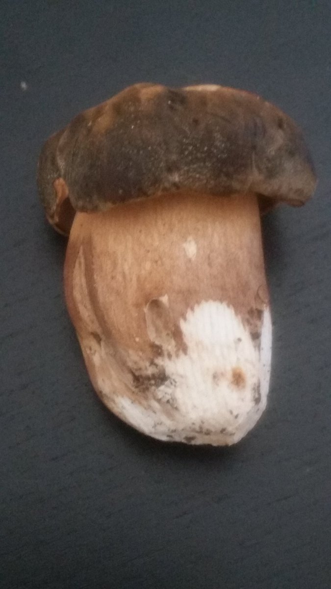 davide1663's tweet image. 