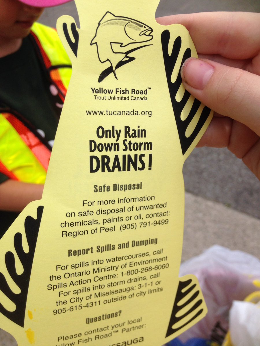 MsJordanPDSB's tweet photo. Demonstrating RESPONSIBILITY by spreading awareness. Thank you Yellow Fish Rd. Concervancy for teaching us about keeping our drain water clean in Mississauga!@SAILThornwood @ThornwoodPS @PDSB_eco @citymississauga @SAILThornwood https://t.co/DWTeQ85VzW