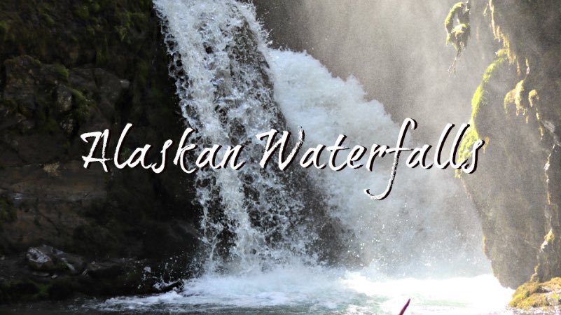 Day 2 in Alaska! Video linked in my bio.