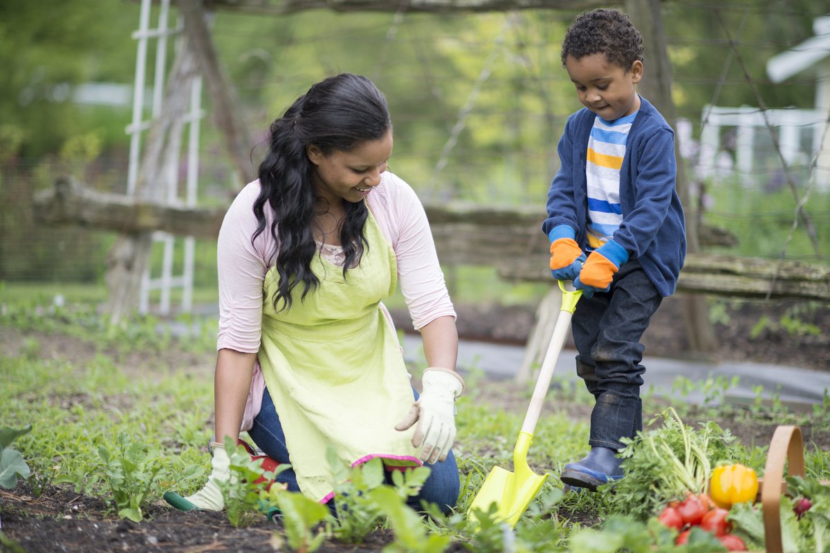 activeforlife's tweet image. Gardening works on gross motor skills (shovelling, digging, and lifting) and also fine motor skills (planting, scooping, watering, and laying soil). But there are many other ways to make it active as well. Learn more: bit.ly/2L6Cpdy