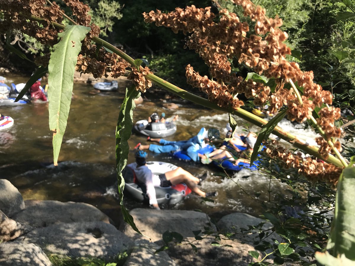 Meghan_Lopez's tweet photo. I did it! Well part of the Boulder Creek anyway. The water was cold but boy was that fun! @DenverChannel #TubetoWorkDay #becauseboulder https://t.co/ljVGauVce5