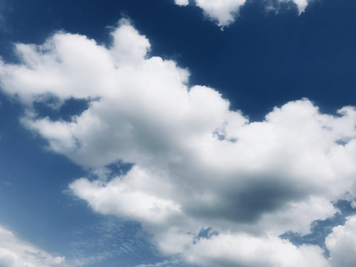 dbsWebsites's tweet image. I #love how #clouds look like #cottonwool and i love how dizzy you get trying to get a #photo of them 🙄 #photography #ios #iphone #iphoneography #iPhonephotography #instagram #instagood #insta #weather #summer #summertime #clearskies