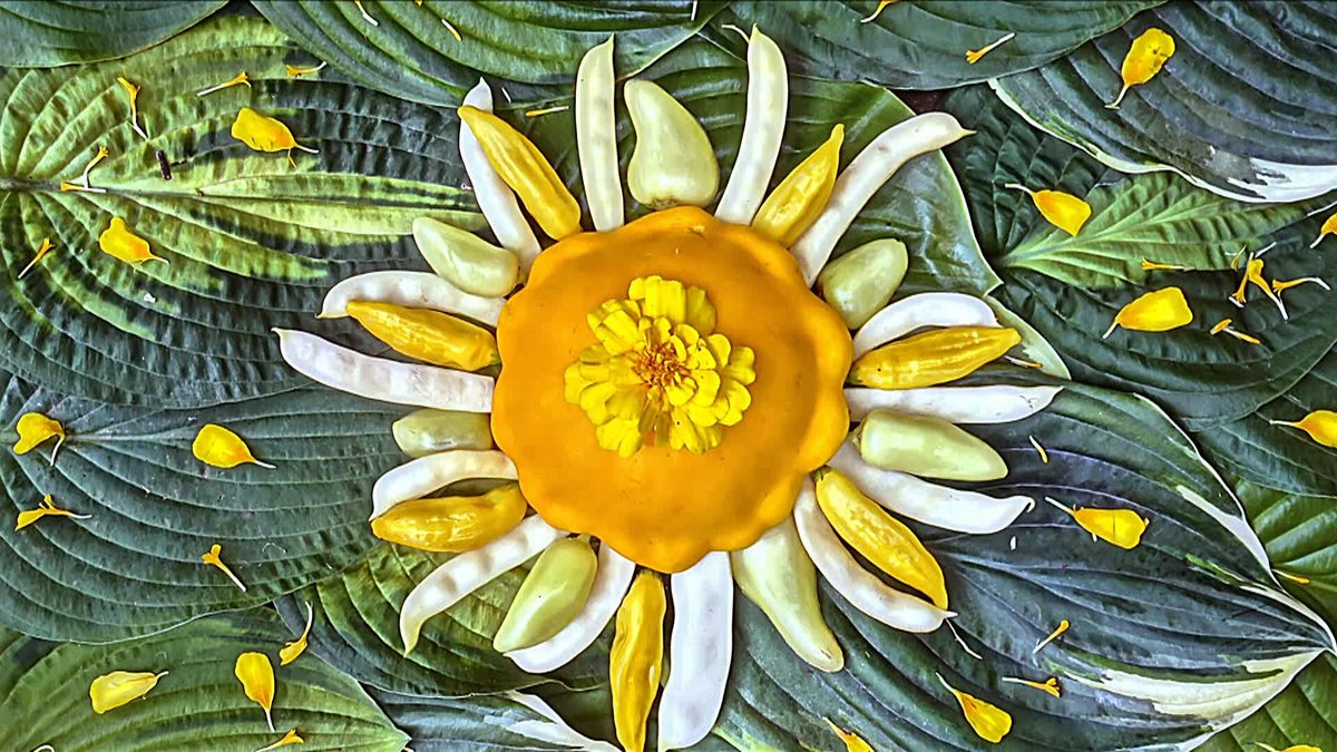 Cbs Sunday Morning On Twitter Here Comes The Sun A Look At Some Of The Sun Art Featured On Cbssundaymorning This Week Https T Co Hbuonpomj6