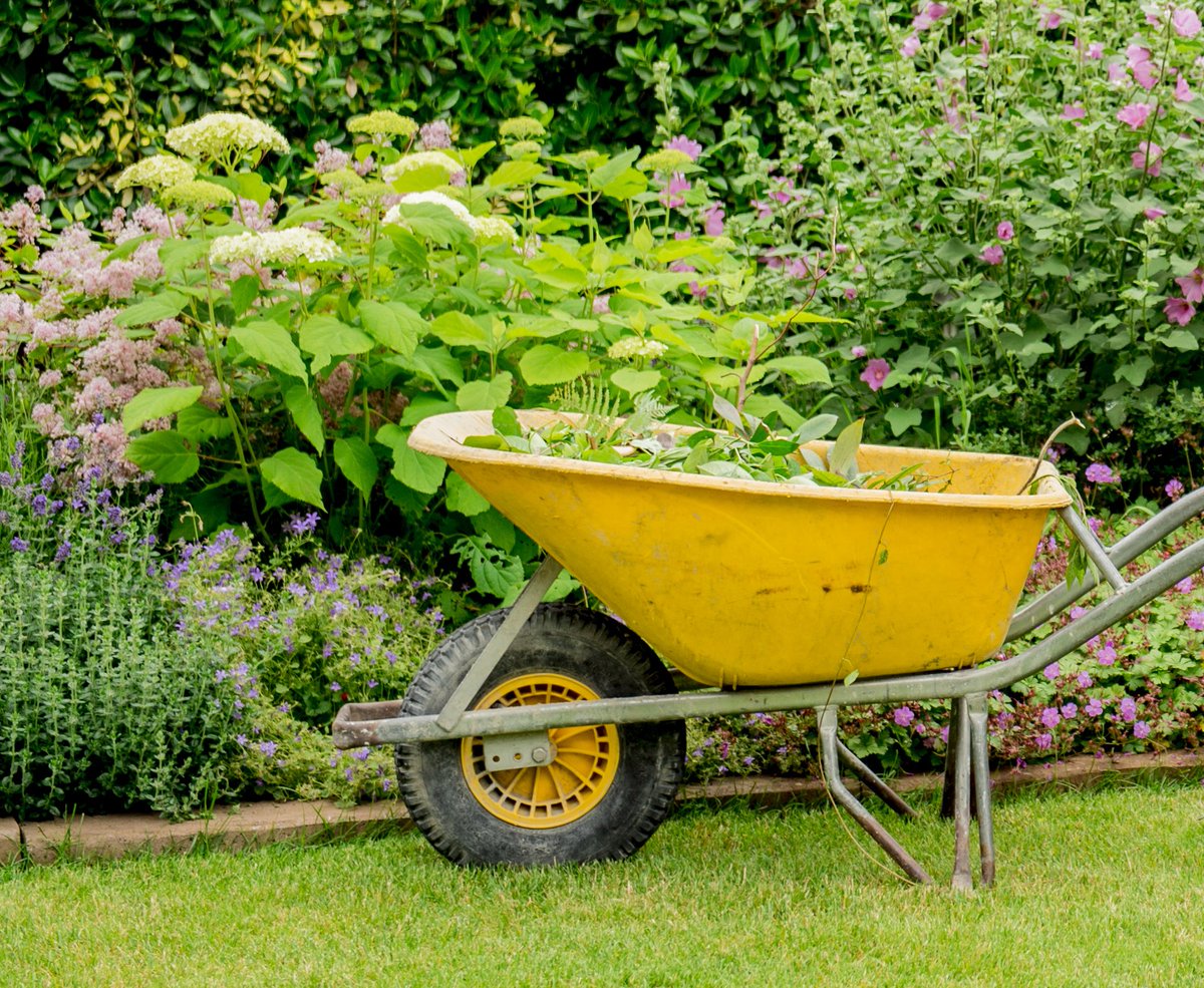 baneninhetgroen's tweet photo. Wij zijn op zoek naar een #vakbekwame #tuinman/#hovenier voor het onderhouden van een #siertuin en #landgoed in de regio #Drechtsteden. Klinkt dit voor jou als de #droombaan? #Solliciteer dan snel https://t.co/Rt4WM4tA3n https://t.co/FT6YUqt6cf