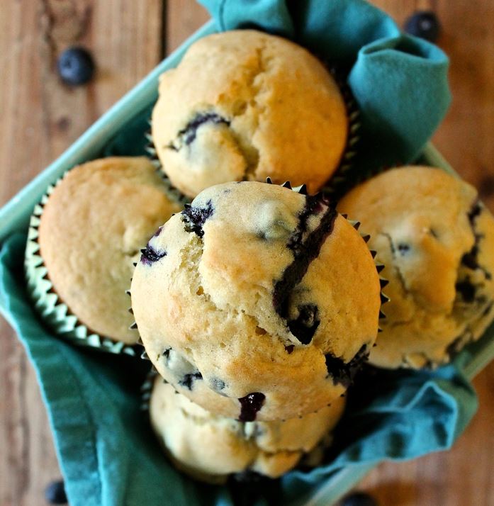 Happy National Blueberry Muffin Day! | July 11th. Share with us your favorite blue muffin recipe @ovationapts. #nationalblueberrymuffinday  #blueberrymufffin #blueberrymuffinrecipe #vegan #glutenfree #grainfree #glutenfreevegan