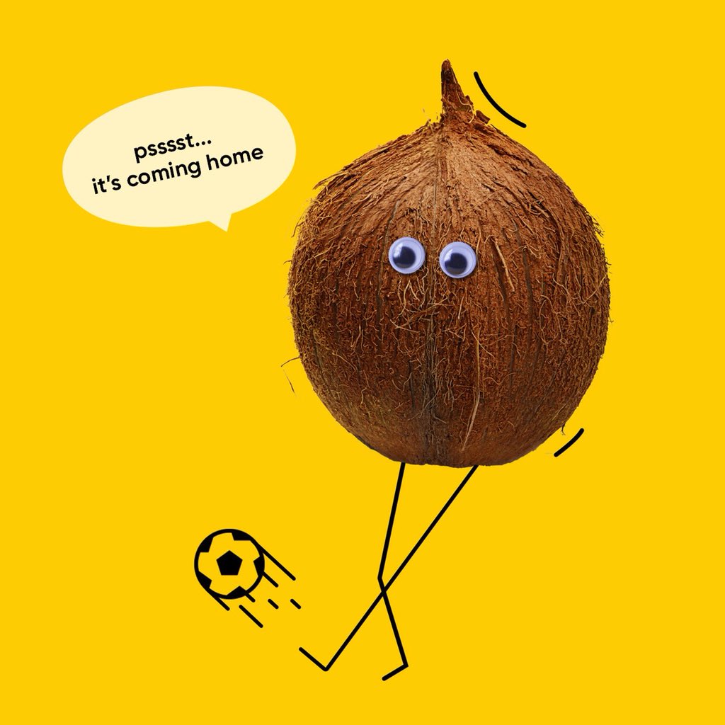 hellayum's tweet photo. Even our coconuts are going loopy for the World Cup 😂 Come on England! #worldcup https://t.co/fpcDvgoJMF