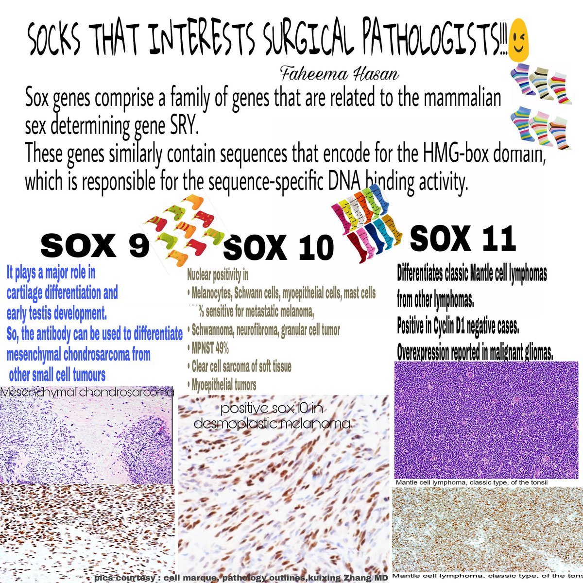 The socks (sox) am really bothered about.😉
#pathology #pathclues #pathologists