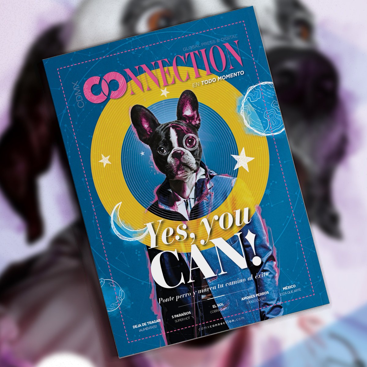 CDMXConnection's tweet image. Este mes en nuestra revista: @ScmCababie nos guía para ladrar de éxito, te recomendamos 5 paraísos súper hot de nuestro país, redescubrimos la oferta cultural de la ciudad y mucho más 🐶 Encuentra el número de julio en nuestro sitio.