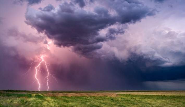 DagleyInsurance tweet picture