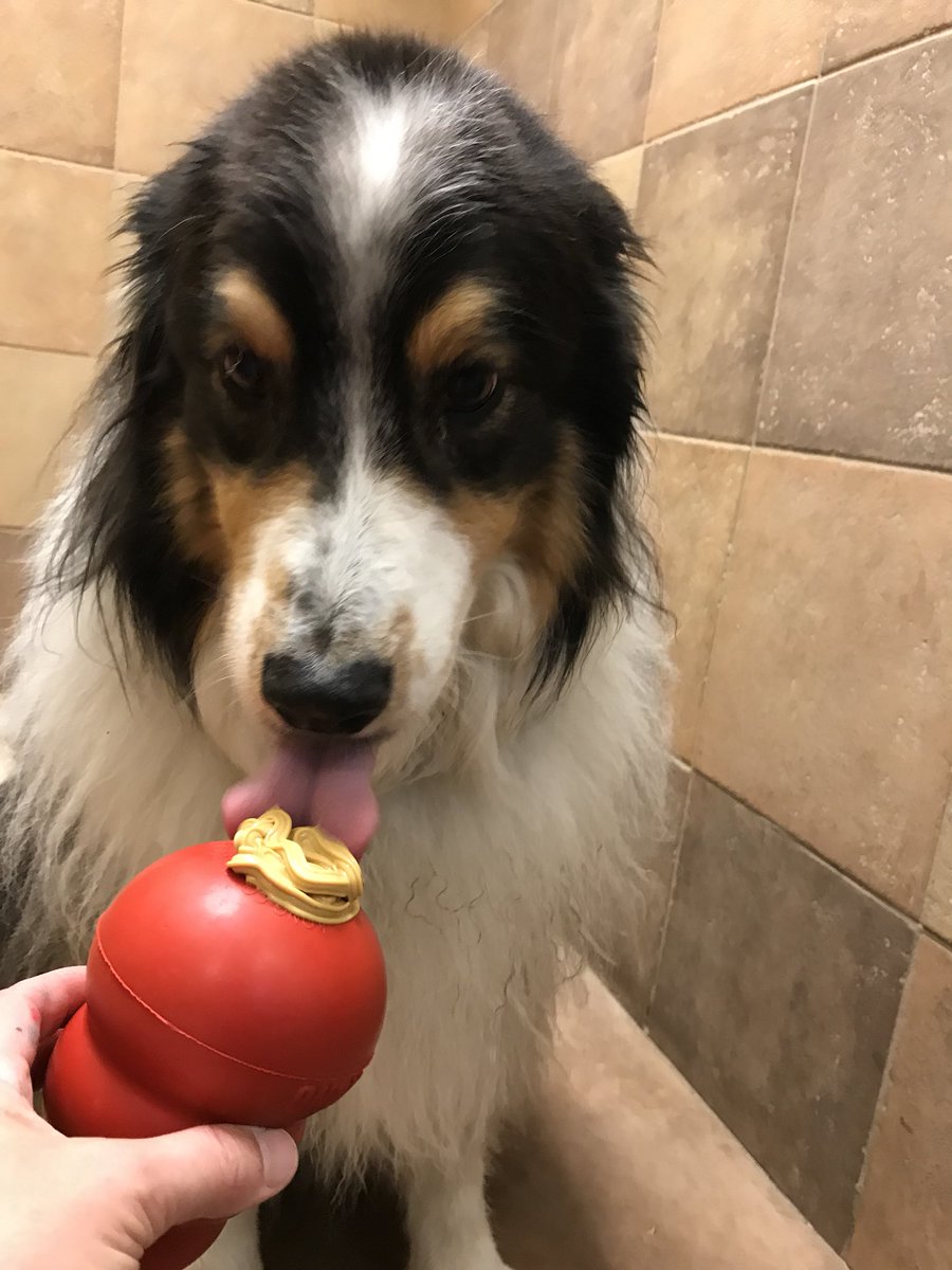 Framingham Petsmart tweet media