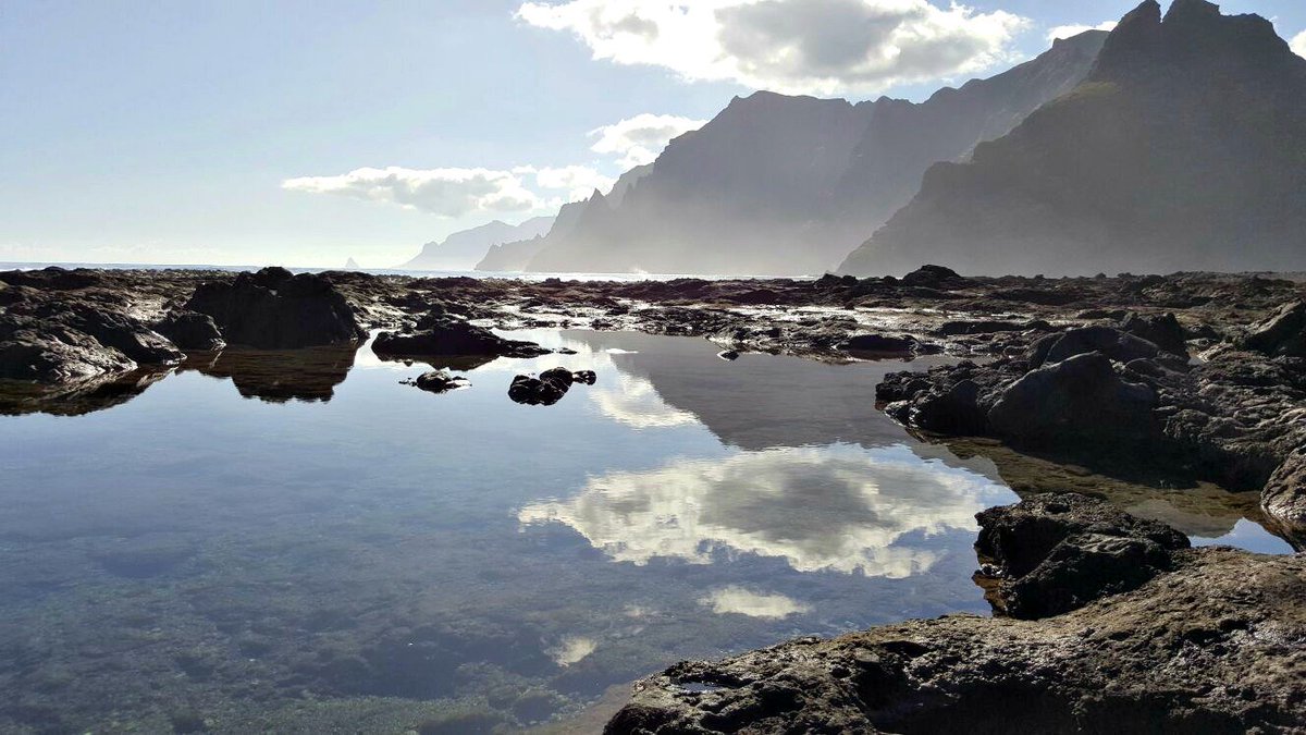 #PuntaDelHidalgo, salida del #UltraNordeste. 🙈

👉 ultranordeste.com 

¡Inscríbete!