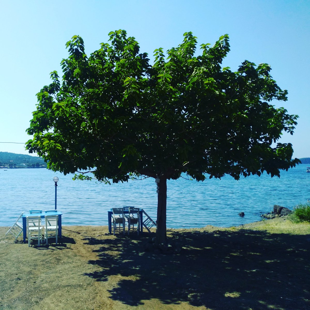 Çadırlı konaklamalarda;
Kişi başı:
Tam: 30₺
Öğrenci: 25₺
Bisikletli: 20₺
#bisikletdostuişletme #kamping #çadır #tatil #denizköy #dikili #izmir #bisiklet #eğlence #müzik #deniz #kum #güneş #hamak