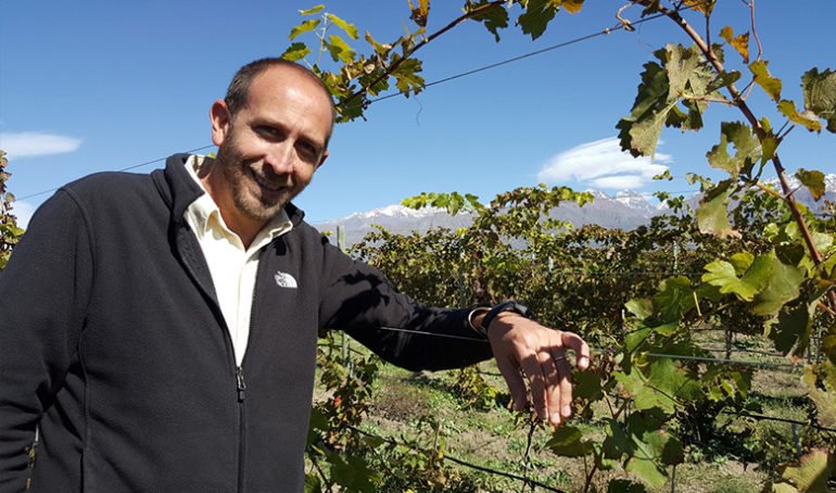 AlpasionWine's tweet image. Gracias @HighMza por la nota! No te pierdas el "mirá quien vino" con Guillermo! revistahigh.com.ar/mira-quien-vin…