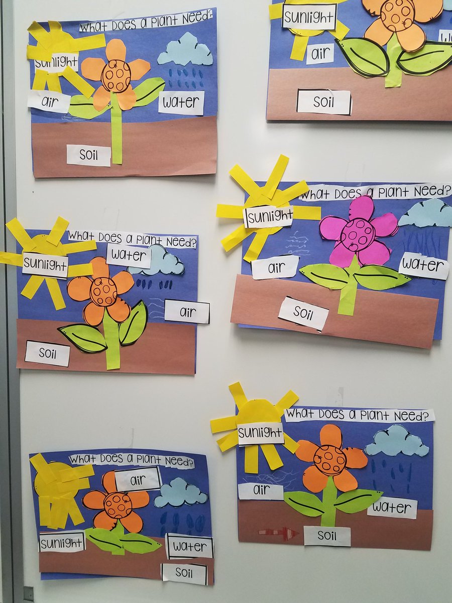 kschattie56's tweet photo. Planting our own sunflower seeds and learning what a plant needs to grow and survive.
#vcssummer
#vcsESOL
#horizonstrong
#bobcatsbelieve https://t.co/Dwv75FGmhR