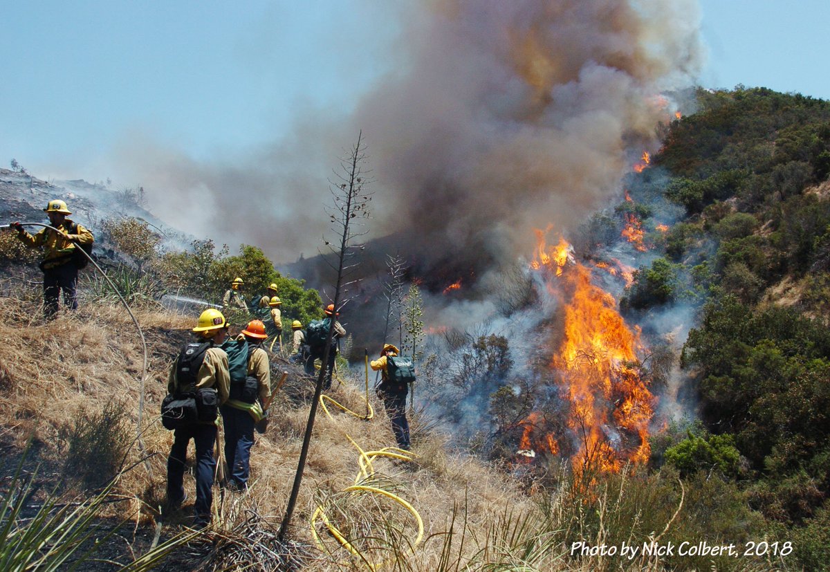 ValleyFireScan's tweet image. Weekend Mash-up 7/7/18-7/8/18. Photos from a busy weekend with temps well over 100. Wildwood Incident in Burbank, Canoga Incident in Chatsworth, and a Traffic Collision in North Hills. @LAFD @LAFDtalk @BurbankFire @BFF778