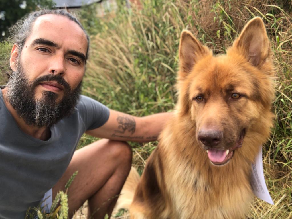 rustyrockets's tweet photo. Me and Bear. Prepping for semi. (Final)
#ENG #EGCRO #ItsComingHome 
#ThreeLions https://t.co/zdn5mf37vj