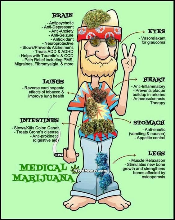 Bklynbby's tweet photo. Enuff said 💨💨💚 https://t.co/8VVYqc0xnR