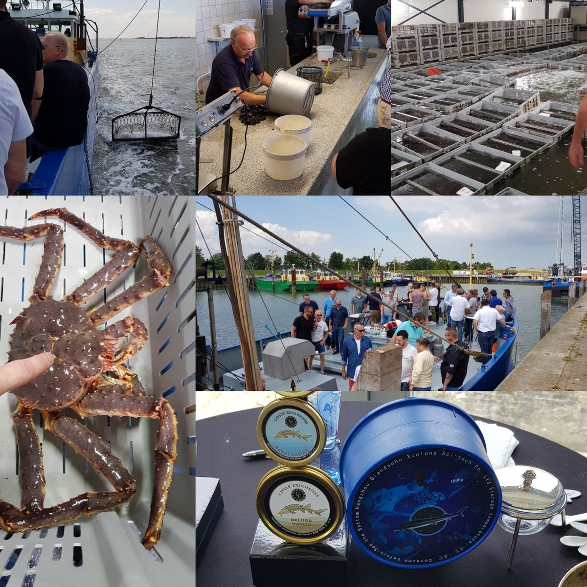 Frank140466's tweet photo. Vandaag op uitnodiging van #smitvis een leerzame dag in Yerseke over mosselen, oesters en kreeft. Heel erg bedankt voor de uitnodiging!
#vanderlindecatering https://t.co/4QymUDTbFh