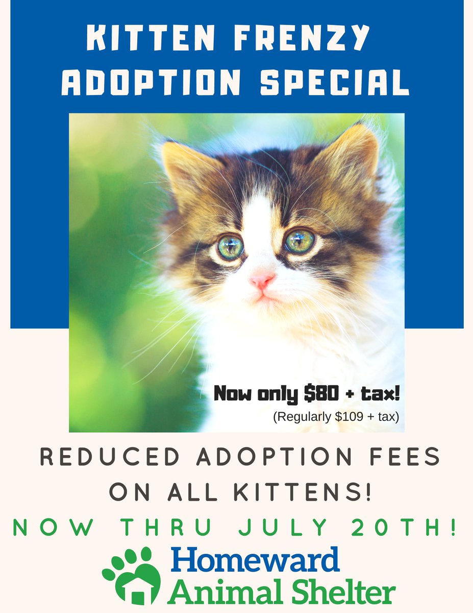 Due to an overwhelming number of #kittens in our care, we’re having a Kitten Frenzy Adoption Special!  #Adoption fees now only $80+tax (regularly $109+tax) thru July 20th! Stop in &amp; find your #cute little cuddle-monster today! #KittenFrenzy #AdoptDontShop #HomewardAnimalShelter