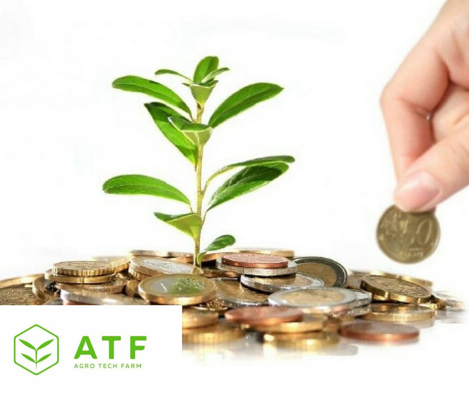agro_tech_farm's tweet photo. ATF technologies of industrial installations allow to recoup the cost of equipment and  use invested capital efficiently in the shortest terms.💸🍀#ico #blockchain #agrotechfarm #Crypto https://t.co/2FZ0FFQjTL