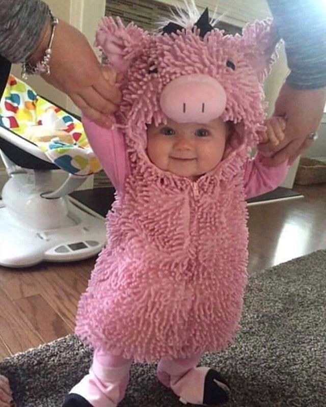 BabyCareMag's tweet photo. What a little cutie!🐽 Do you ever play dress-up with your baby? Let us know below. For baby photo shoot ideas visit https://t.co/WCBRZ3R8s8. #babycaremag #babyphotos #babydressup
📷unknown, DM for credit https://t.co/NzdWpQ1sEj https://t.co/eTYl9GqLBR