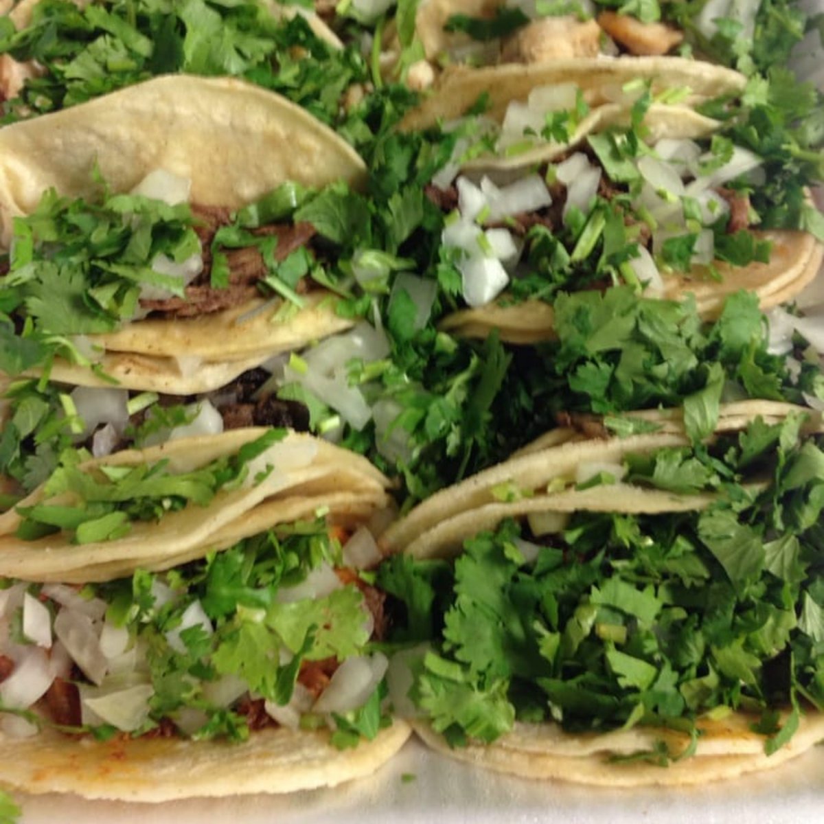 TortasMex's tweet photo. Now that's something to taco 'bout. https://t.co/i1oDqvZqjw