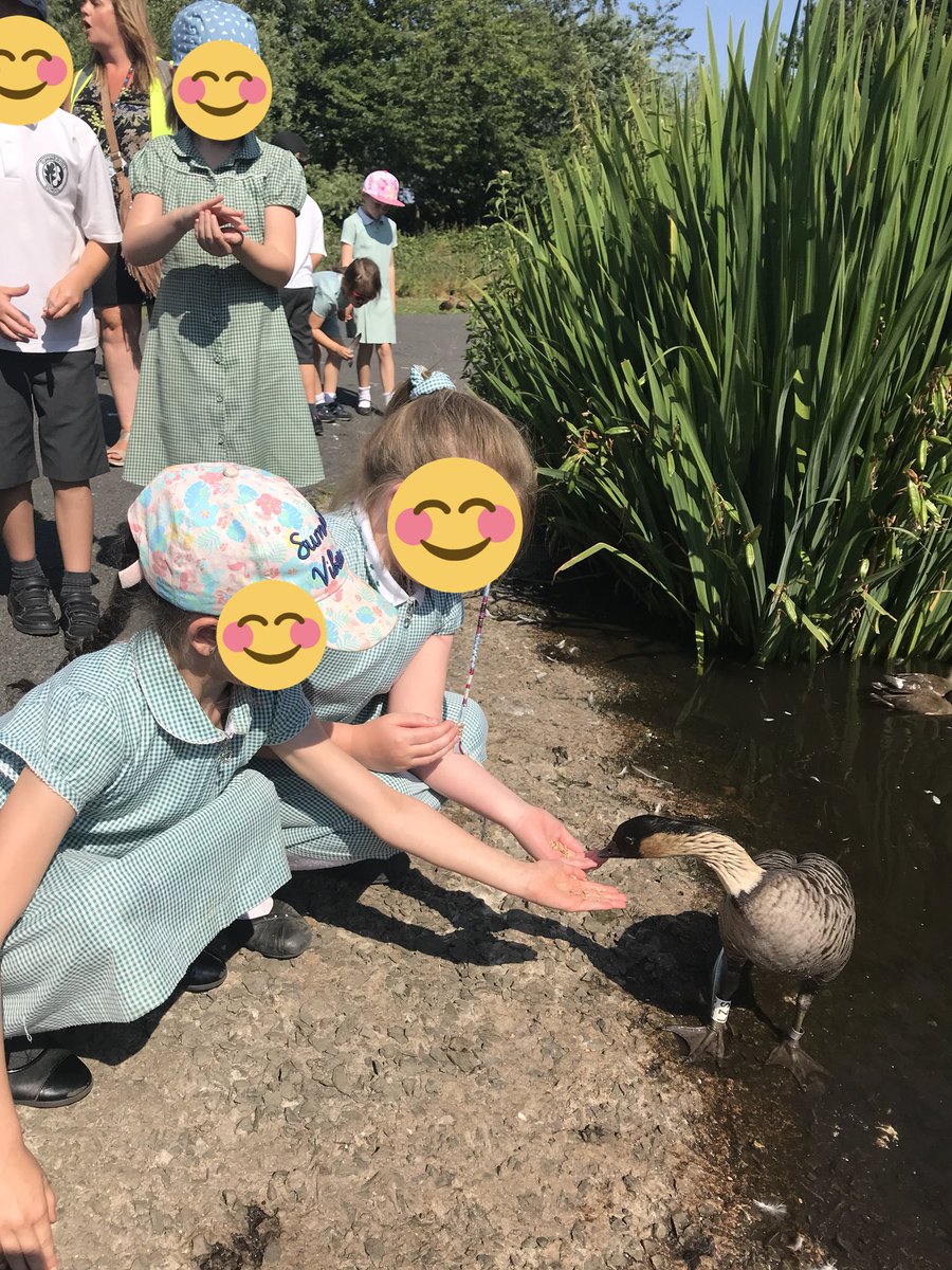 MissAMilne's tweet photo. Had the best time on our martin mere trip on friday, the children loved exploring &amp; seeing all the different wildlife🐿🦆🐛🐞 https://t.co/TArn02vVOp