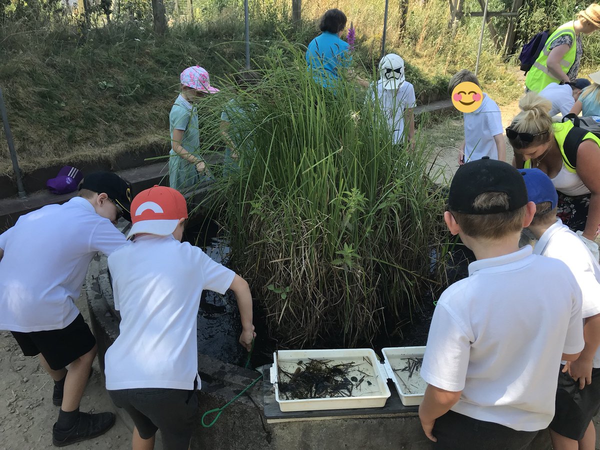 MissAMilne's tweet photo. Had the best time on our martin mere trip on friday, the children loved exploring &amp; seeing all the different wildlife🐿🦆🐛🐞 https://t.co/TArn02vVOp