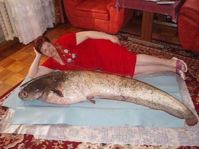 dstumblor's tweet photo. https://t.co/TDkOX3OE4a
Most Amusing Russian Dating Site Profile Photos
#profile #profilephotos #dating #datingsite #russian #stumblor https://t.co/WCp603KMY7