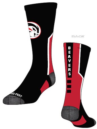 logo_socks's tweet photo. One of my favorite logos @BallardHSSports https://t.co/1dE5uU1qeH