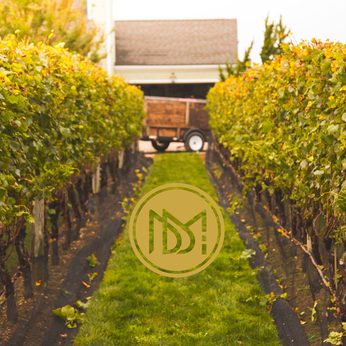 A peaceful place to share a special moment with that someone. #Wine #WineTasting #WineLover #Vineyard #Wines #Winery #Chardonnay #Rose #Exclusive #LongIsland #DeseoDeMichael #NY #NorthFork #WineCountry #Winenot