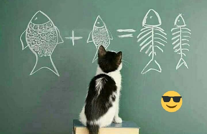 Qnd eu vejo e dsj comer rsrsr