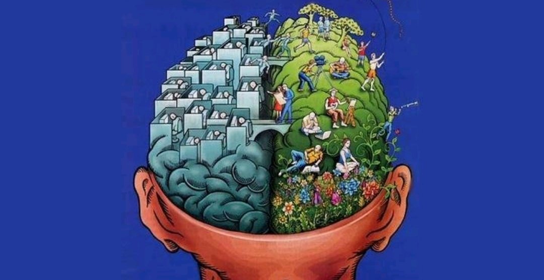 When you develop a passion for learning, you never cease to grow #KnowledgeIsPower #lifelonglearning