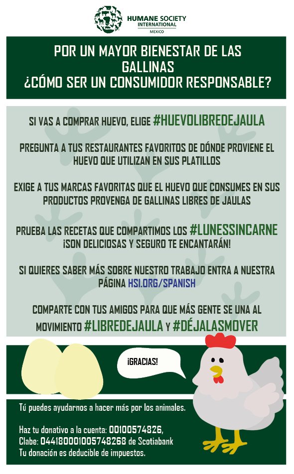 humaneworldmx's tweet photo. #Infografía ¿Cómo ser un consumidor responsable? Por un mayor bienestar de las gallinas.
#DéjalasMover #LibreDeJaula #HuevoLibreDeJaula #BienestarAnimal #ConsumidorResponsable https://t.co/hGELStfOoC