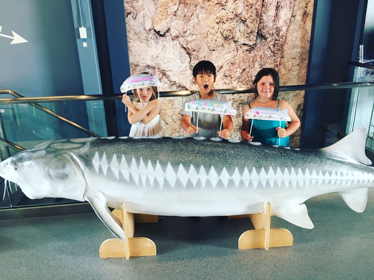 thefrdc's tweet photo. This weekend's Family Workshop theme is ‘Finding Fish’! Get ready for puppet shows, sturgeon anatomy, exploring the NEW Salmon interactive exhibit &amp; more! 

Register the whole family online to receive 20% OFF your admission HERE: https://t.co/aUO008Kpjr https://t.co/sYgJ27UXYO