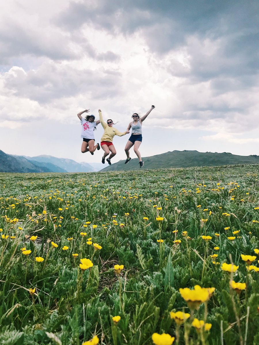 Pi Beta Phi tweet media