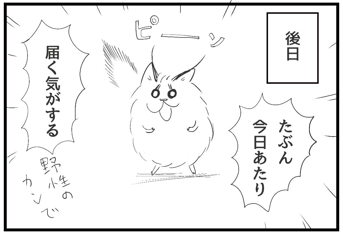 あいなつ 毛玉なカラカル Vol 219 郵送待ち カラカル 毛玉なカラカル 4コマ漫画 4コマ 漫画 イラスト アフリカ ネコ科動物 動物 猫 リゾバ リゾートバイト 結果待ち 野生の勘 ポスト T Co Lgimlzxixe Twitter あいなつ 毛玉なカラカル Vol 219 郵送待ち カラカル 毛玉なカラカル 4コマ漫画 4コマ 漫画 イラスト アフリカ ネコ科動物 動物 猫 リゾバ リゾートバイト 結果待ち 野生の勘 ポスト T Co Lgimlzxixe Twitter