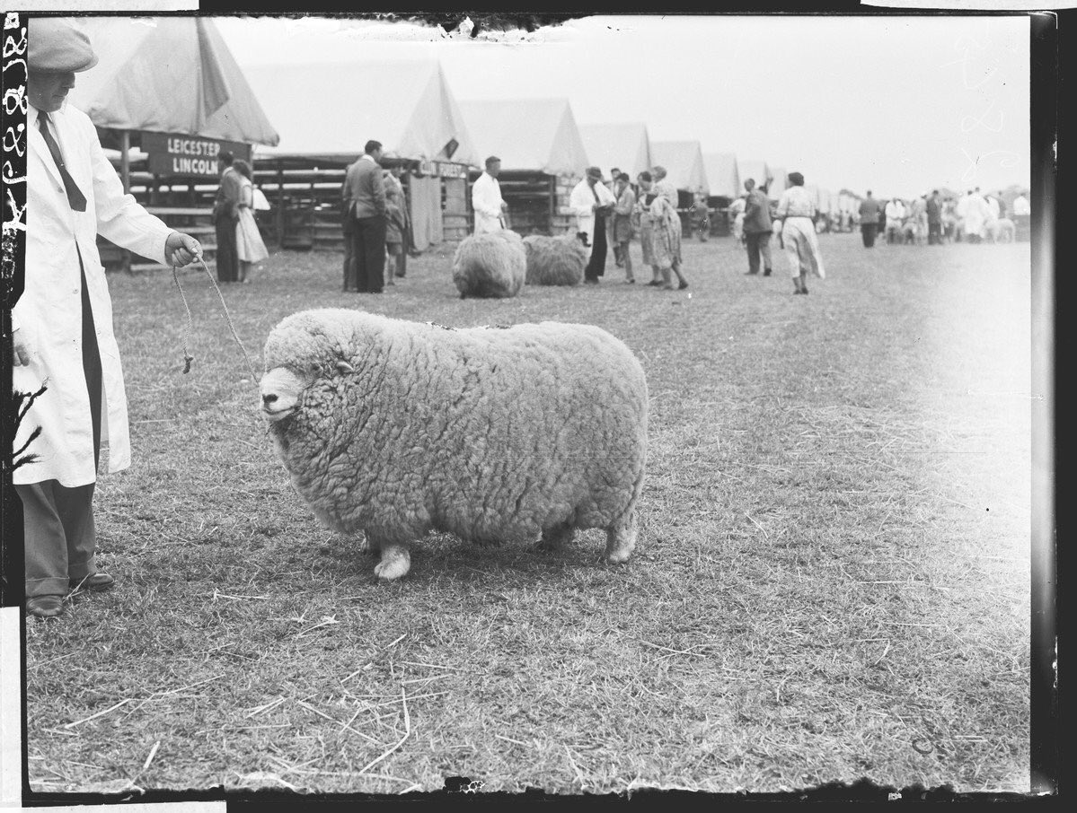 #ENGCRO stressing you out?

Stare at the cloud.

Breathe.

#WorldCup