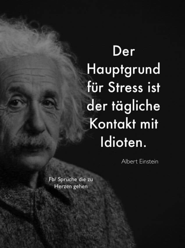 Download Einstein sprueche idioten For Free