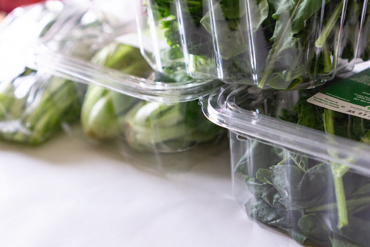 nutraponics's tweet photo. How should you keep your leafy greens tasty and fresh for longer? Check out our website for easy-to-follow instructions. Don't forget you can get our fresh locally grown veggies at The Organic Box every day of the year! https://t.co/SlsqJymO8l