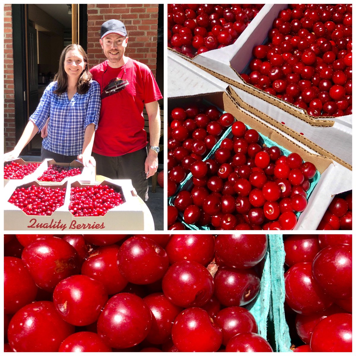 SongDogDC's tweet photo. Soon you’ll be able to taste this key Montgomery County ingredient in the first product to wear the @SongDogDC name, thanks to some amazing help from our distilling friends and colleagues. Stay tuned…. cc: @megandraheim @DHarrisDC https://t.co/Ffejn6phqP