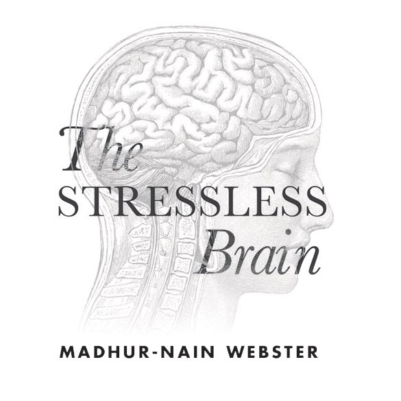 MadhurNain's tweet photo. My new book will be out soon for pre-order. Stay tuned. #thestresslessbrain https://t.co/PwuvQuwsXX