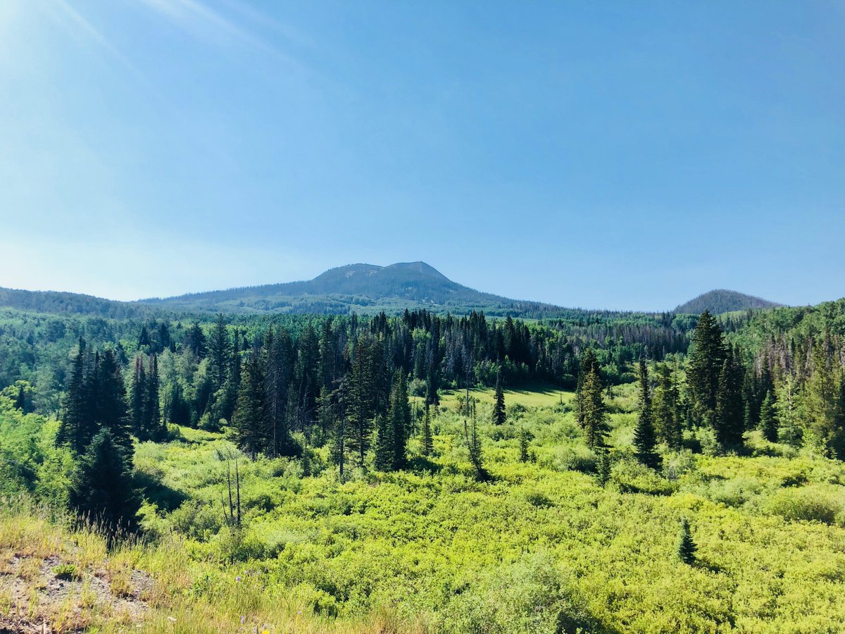 leeannaf's tweet image. Another trail race in the books @LFatovic #2018HahnsPeakHillClimb #elevation10389feet MaleAG3 OverallMale24 #SteamboatRunningSeries