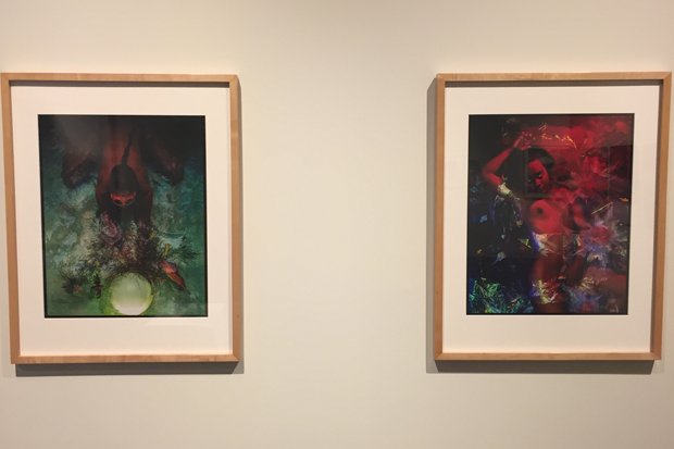 honolulumuseum's tweet photo. Photographer Suda House's "Juno Lucia" is an explosion of color—view it at our "Making Waves" exhibition. But first, learn the story behind it:  https://t.co/77RPy4uXf6 https://t.co/EnjeZ5OPGi