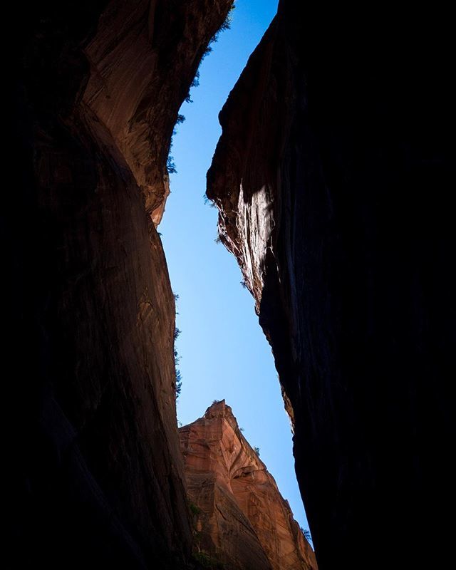 ACNorelli's tweet photo. Narrows, Zion NP, UT
*
*
Still in awe of the Zion Narrows.  Unlike any other hike I have ever done.  Hundreds of people hike up the Virgin River every day. Waking up for the first shuttle up the valley (6am, no big deal), and hustling up the walkway to t… https://t.co/p3mRk1csFm https://t.co/xxlNt4XjUl
