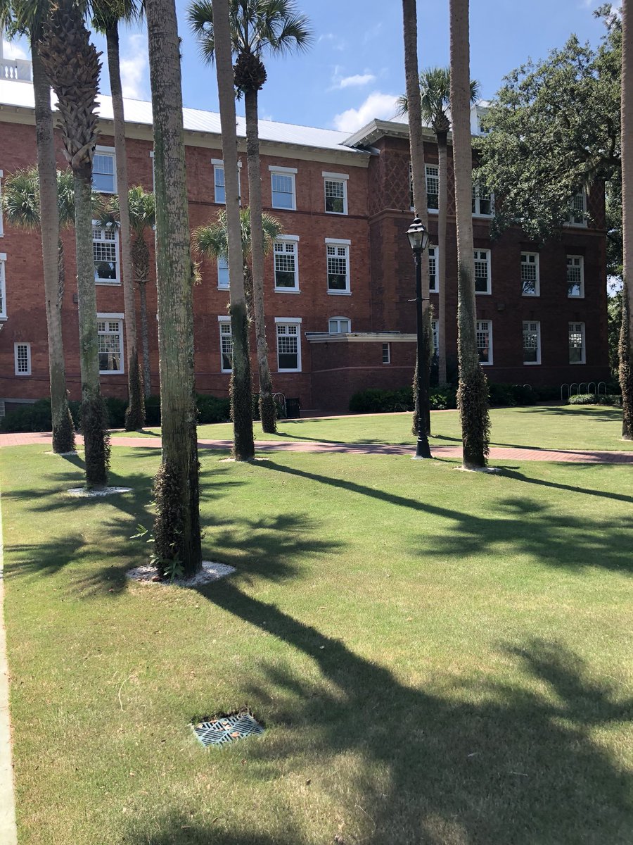 SpookyBalzano's tweet photo. Tracking down the #ghost #urbanlegends of #hulleytower and #elizabethHall here at @StetsonU with @NayNayMyFriend #haunted #deland #ghoststories #TolSummer18 #hauntedlove https://t.co/QJjMV6bXdu