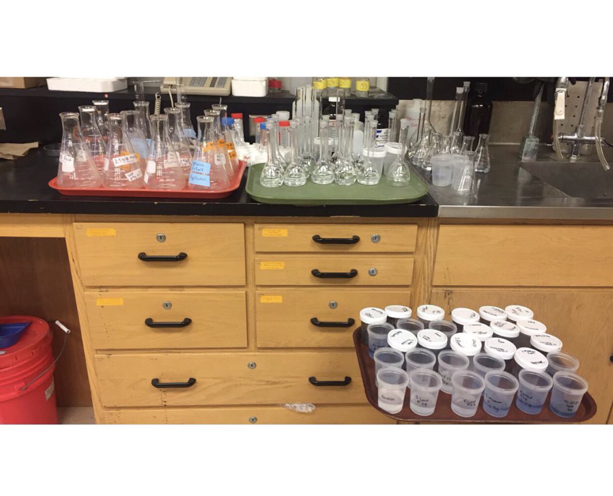 laiba_4's tweet photo. Throwback to Individual experimental biology project when I was taking water samples from YorkU pond to study nutrients disposal and algae growth.@YorkUScience @yorkuniversity 
#experimentalbiology #algaeidentification 
#biology🔬 #ecology #sciencelove #yorkuniversity https://t.co/8nmahW55ga