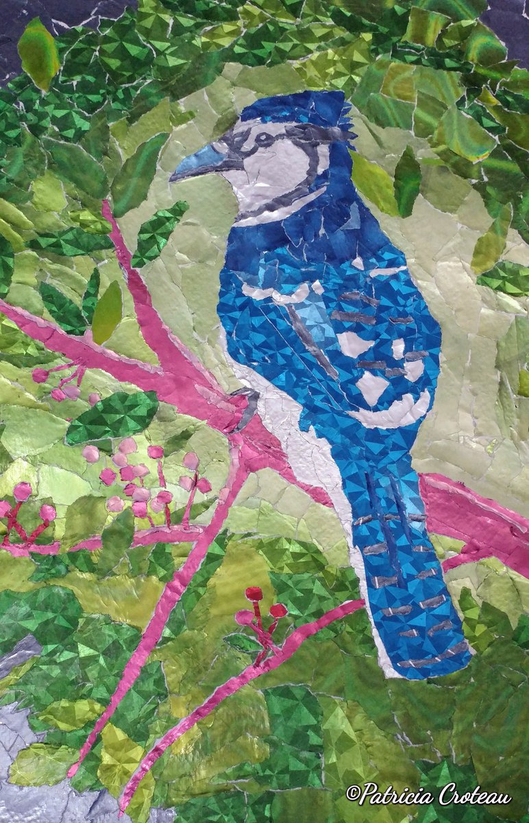 MrsPcroteau's tweet photo. @Discover Collage Art by Patricia Croteau. Made with Discover Card Envelopes! https://t.co/4UOIYp2jyS